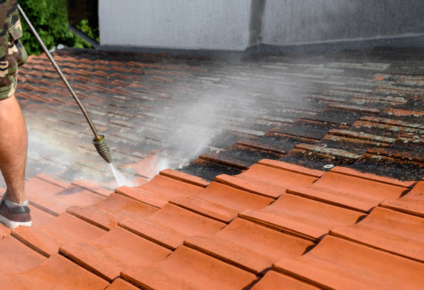 Best Concrete Pressure Washing  in Marlboro Village, MD
