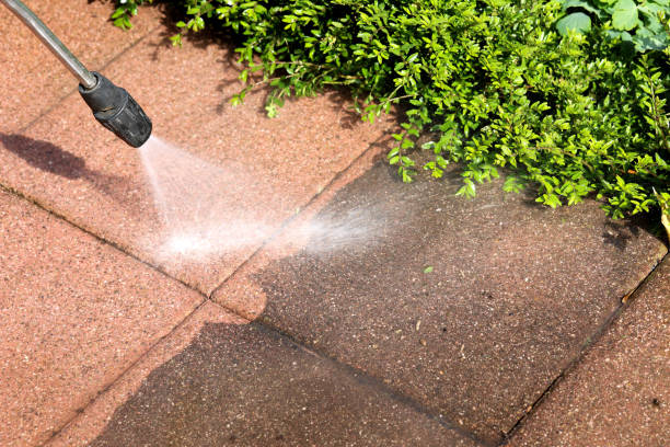 Best Exterior Home Cleaning  in Marlboro Village, MD